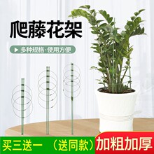 爬藤架子花支架月季花架植物盆室内花卉支撑杆园艺铁线莲绿萝攀爬