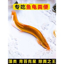 �����~ʺ�S��ĺӰ��S�����^�p�ڽ���ʳ���O����̦�坍�׳����䵭