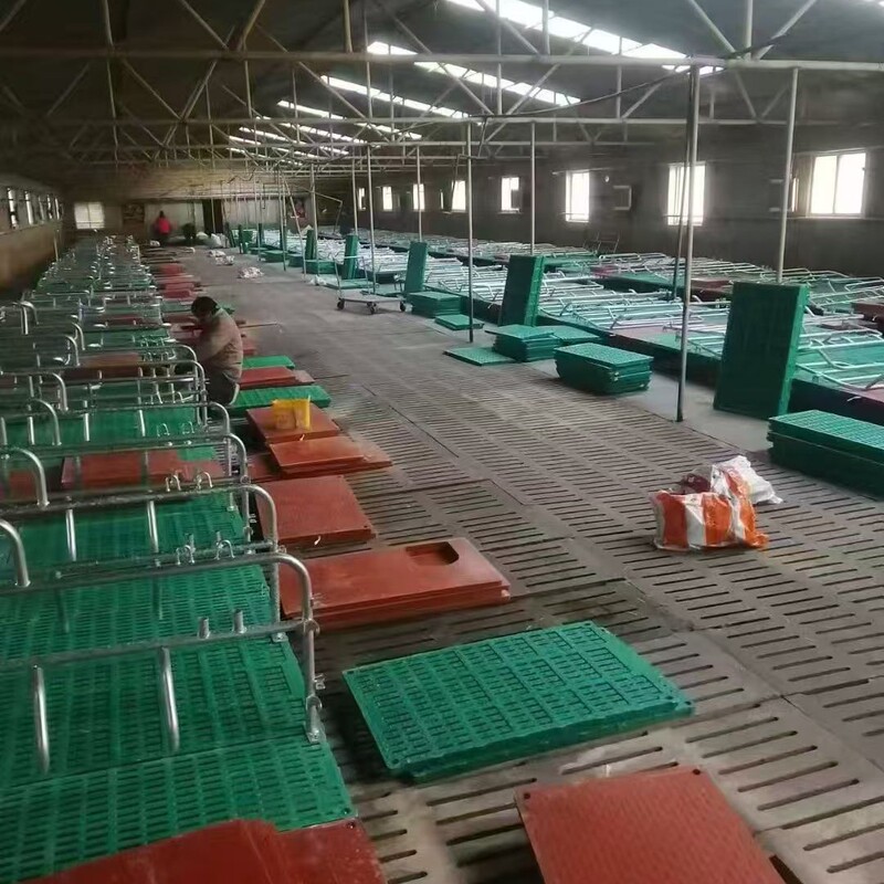厂家现货母猪复合产床猪用产保两用双体产床母猪分娩栏全复合 仔|undefined