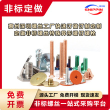 惠州深圳螺丝工厂专业生产非标螺丝 特殊异形螺钉螺栓 快速订产