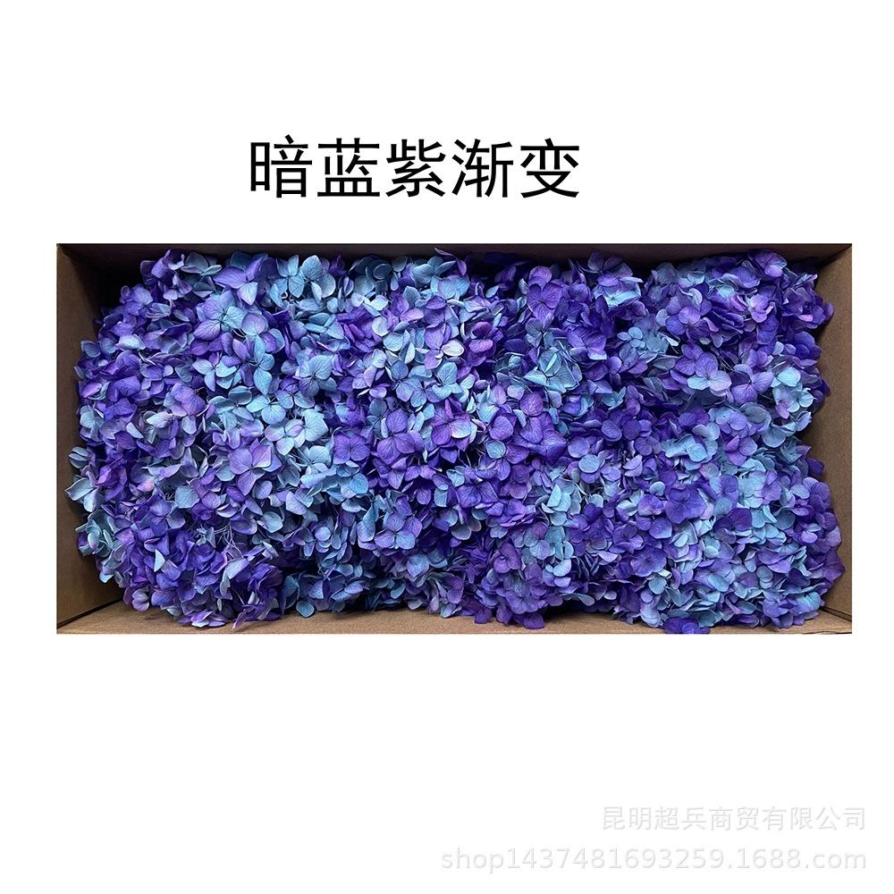 [Вечная Life Flower Hydrangea] Анна Градиентный цвет Лист Hydramid Книга цветов оптом DIY цветочная коробка материал для просмотра