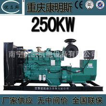 廣西廠家生產250kw重慶康明斯發電機組工地施工柴油發電機QSNT-G7