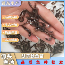 ����Bֳ��Ʒ�~�烞�|�����T�~��ˮ�X�~�������X����ʸ߻��w���l