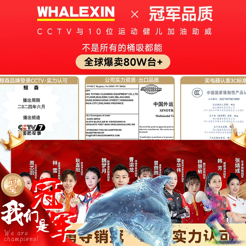 Вакуумный пылесос Whalesen для домашнего использования с высокой мощностью всасывания для уборки пустырей и красивой строчки специальный небольшой мощный промышленный пылесос
