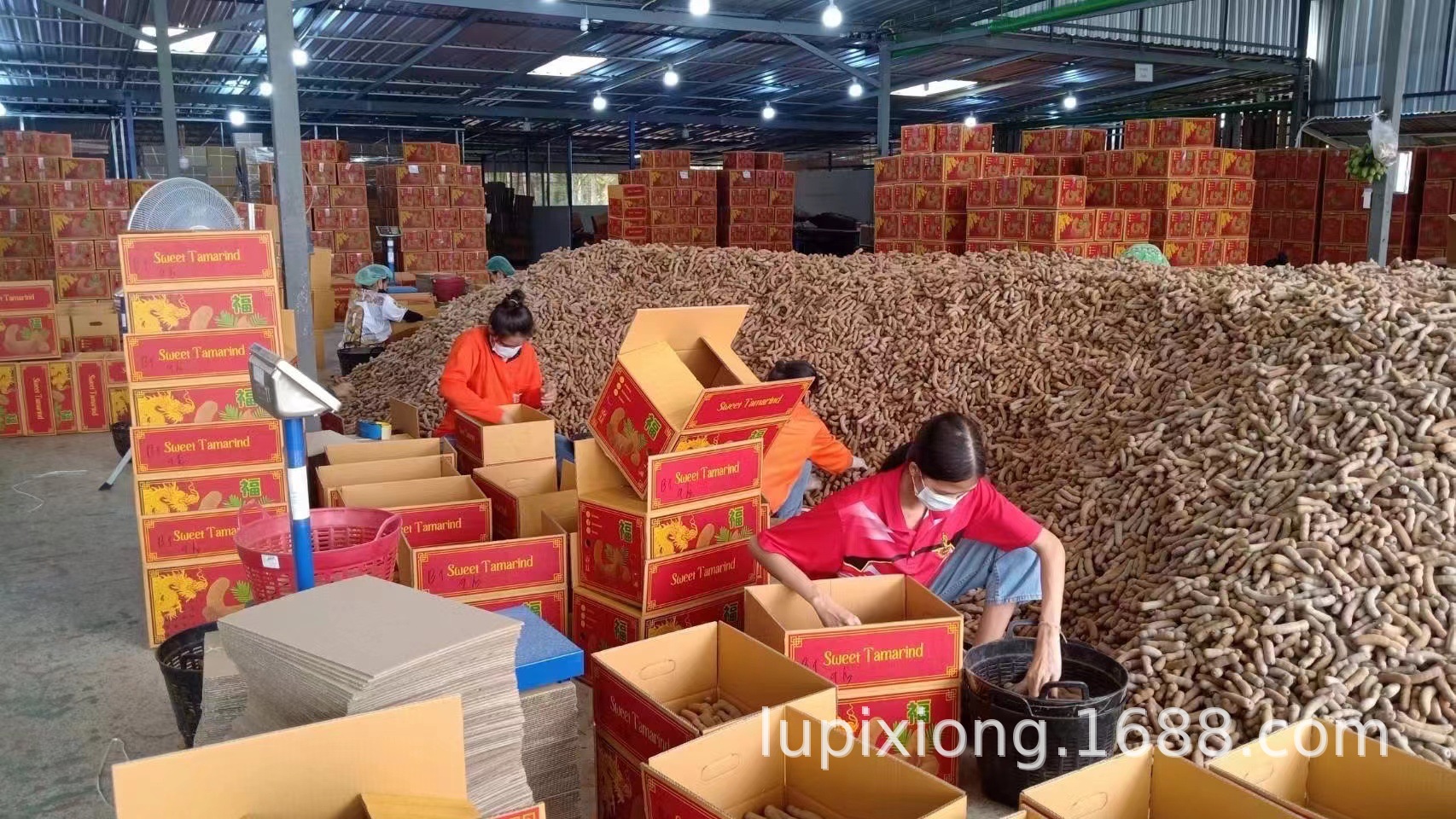 微信图片_20230425120427