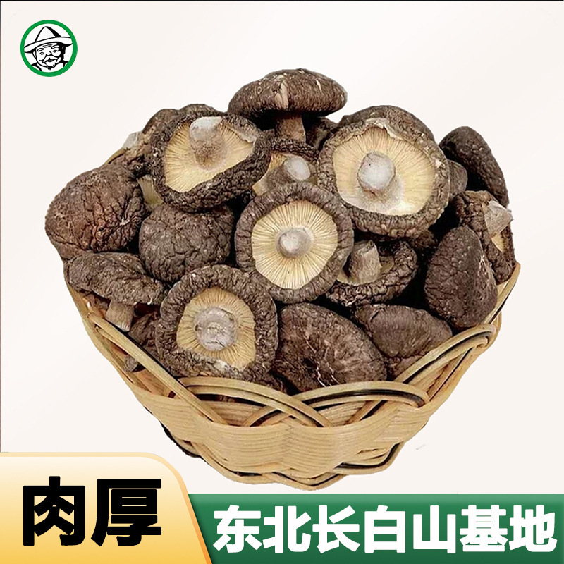 Authentic Northeastern Dried Linden Wood Mushrooms, Bulk Wholesale, Fresh and Fragrant Mushrooms from Changbai Mountain, Direct Delivery from the Farm