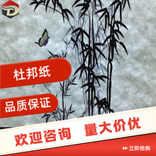 厂家批发杜邦纸卷材肌理透光灯箱背景布隔断天花吊顶装饰材料