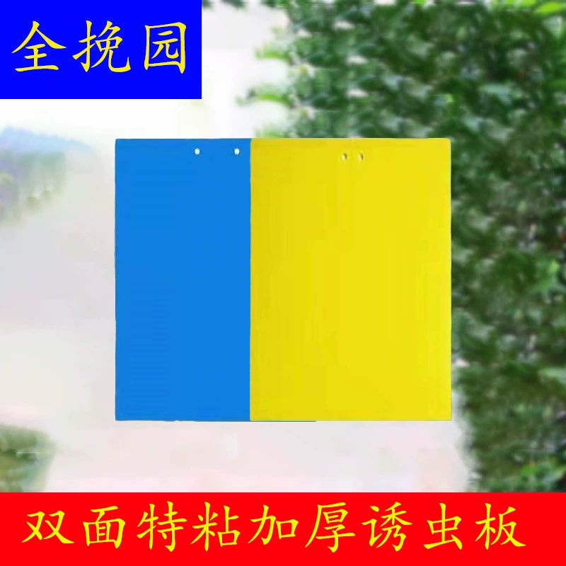 Желтая липкая ловушка, двусторонняя для теплицы, сада, дома, ловушка для насекомых, синяя ловушка для насекомых, липкая ловушка, синяя доска, наклейка от тли.
