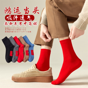 �m������Ͳ�m�ﶬ����������tɫ�m��Ů�ļ��L�m�����LͲ���m