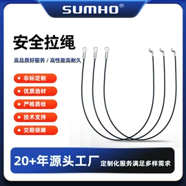 车身及附件;金属丝绳;其他金属丝