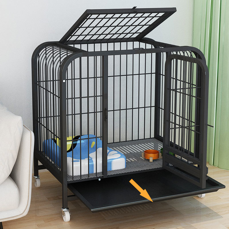 cf591bee-cb5c-476f-9f9b-04cab8e65d2f.jpe