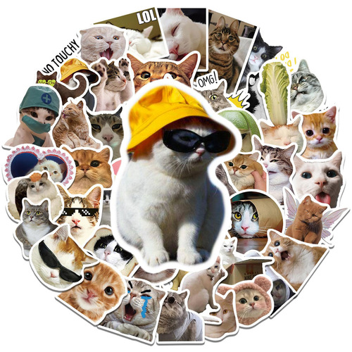 50 Cat Meme Stickers Cute Funny Absurd Cat Instagram Style Emoticon Gag Images Material Journal Notebook Sticker