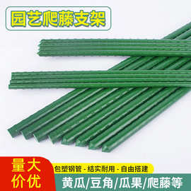 爬藤架加厚钢管植物支撑杆葡萄百香果黄瓜豆角番茄攀爬架厂家直销
