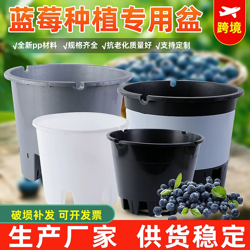 Черничный горшок pp пластиковый цветочный горшок оптом утолщенный круглый корневой горшок зеленый цветок большой дышащий круглый цветочный горшок