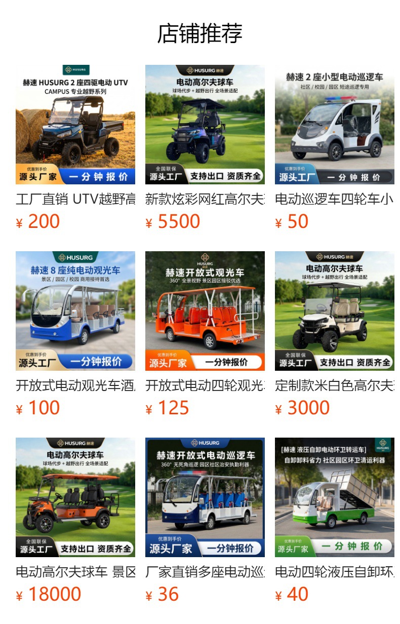 Electric Patrol Vehicles for Security, Property Management, and Campus Use, Exportable, Customizable, Direct Sales from the Manufacturer