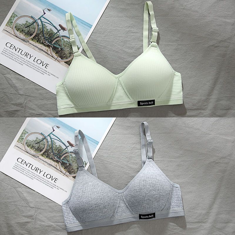 말차 그린 + 다크 그레이 (2개)