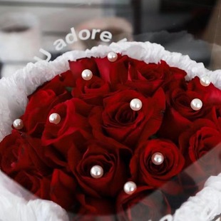 ����{���z�����N��ˇ�๦�̶ܹ������ˮDIY�Y��������ð��b