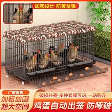 鸡笼子家用特大号家禽阳台折叠狗笼养殖清粪室外自动滚蛋鸡窝鸡舍