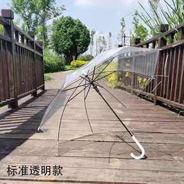 透明雨伞长柄伞批发女生高颜值韩系便携学生儿童印花雨伞广告伞