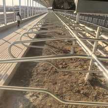 SҶţԴţOţOpԼӺBֳţԴ