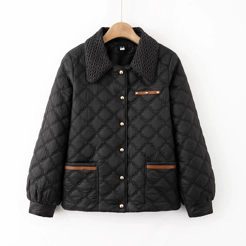 Demi-season keep warm down jacket for leisure, for middle age
