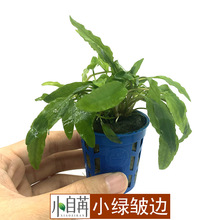 С�G��߅�G�ص�С����ˮ�ݻ��w���l�~���쾰��ˮ���b�ˮ�����^�p