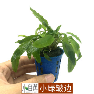 С�G��߅�G�ص�С����ˮ�ݻ��w���l�~���쾰��ˮ���b�ˮ�����^�p