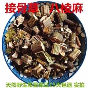 �ӹǲ� �Ӣ1kg��ș�����L�� ���� ������ ���R��