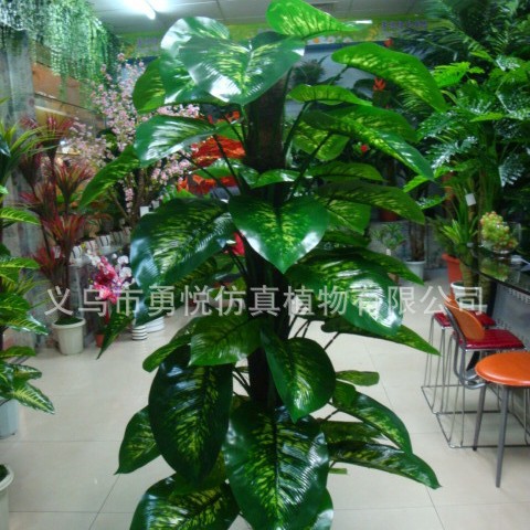 FUENTE Fábrica al por mayor de la planta de simulación árbol 63 Paquete de hojas Goteo marrón Guanyin rábano verde de hoja perenne planta verde árbol falso