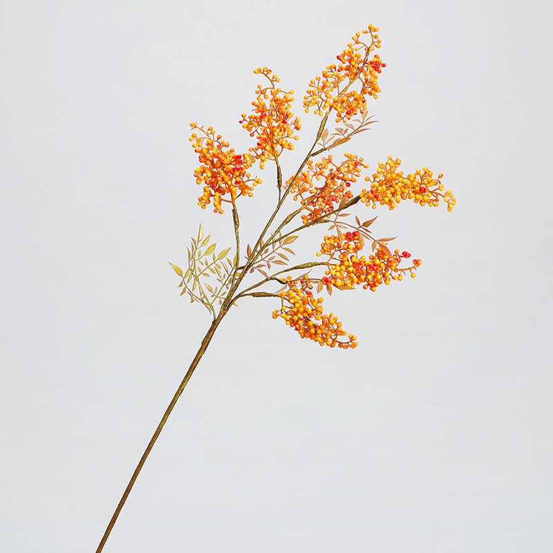 7 포크 난디나 대나무 열매 가지 오렌지