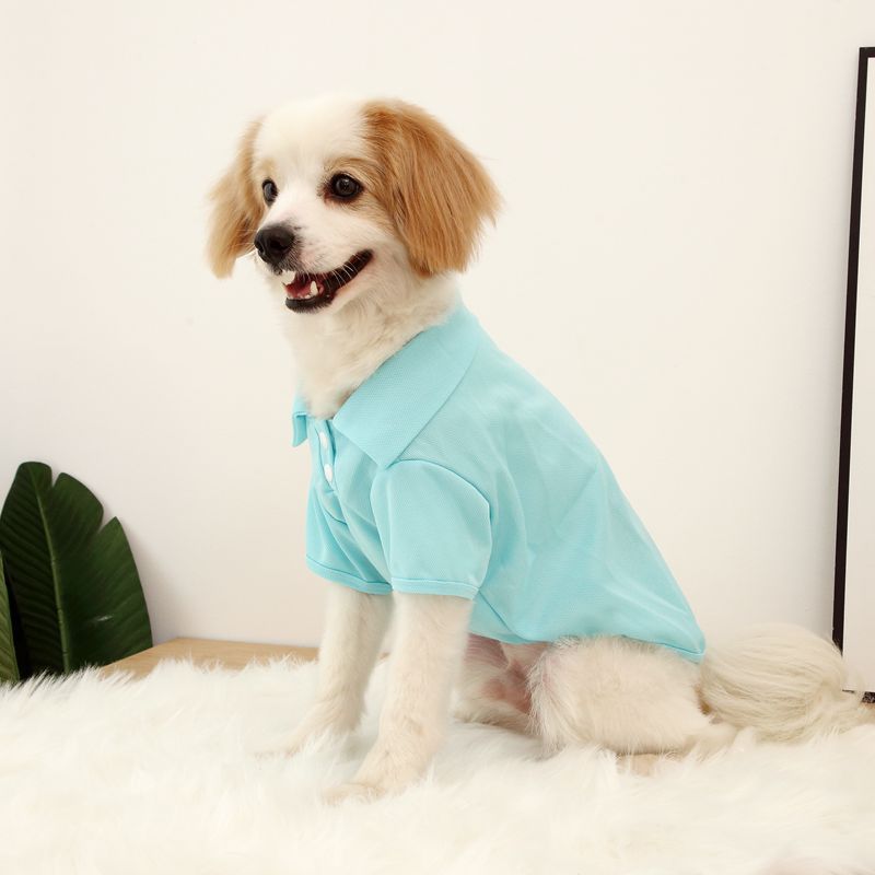 블루
