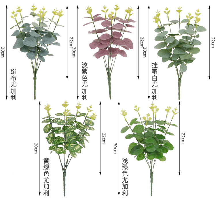 尤加利把束