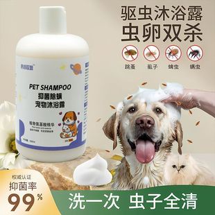 ������ԡ¶�㲨؈����؈��Ȯ�������\ֹ�W�坍����������x�џ��u