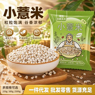 С޲��޲�������l�r���ԷN޲�׿ɴ���޲�׼t�����s�Z�ּZ����ă�