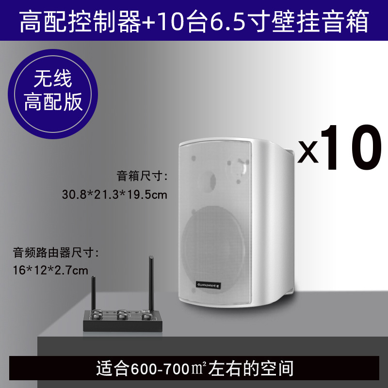 壁挂无线音响店铺舞蹈教室餐厅健身房会议室商用音箱组合套装|undefined