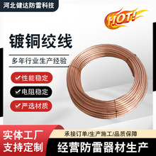 镀铜绞线铜包钢绞线防雷接地母线圆钢扁钢角钢垂直接地极裸铜绞线