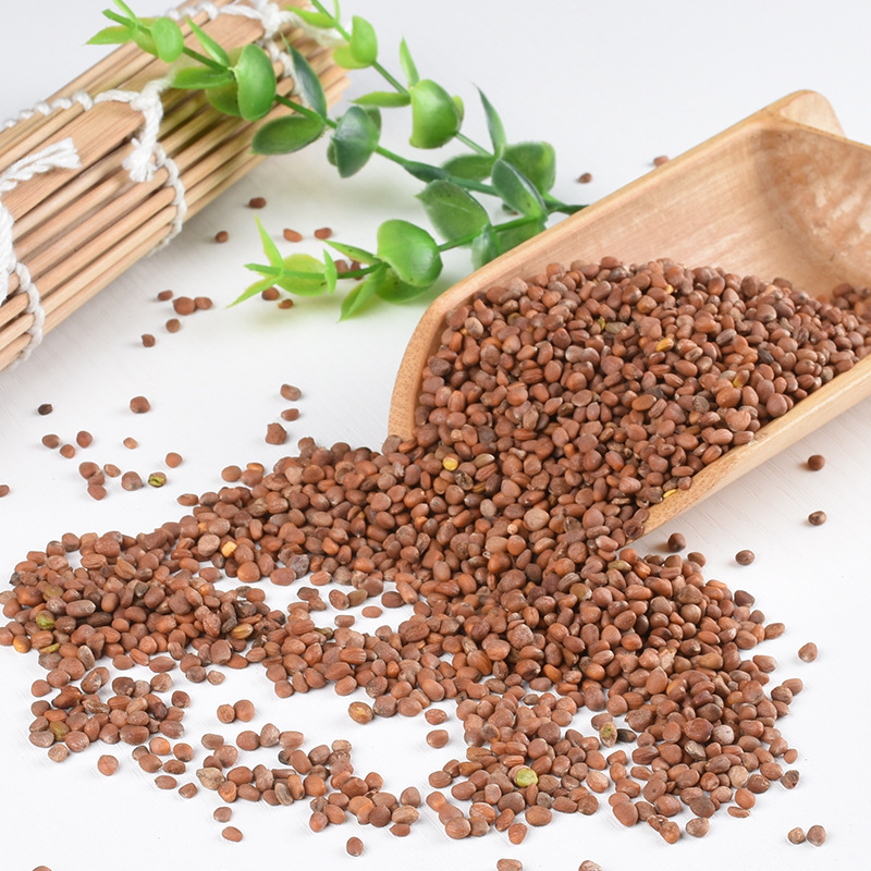 Radish Seed Lai Fu Zi 500g Dried Raphanus sativus Seeds for Decoction and Tea specifications