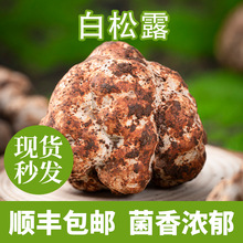 ������r����¶Ұ����¶Ұ���������ʳ���ك��i��������¶���S