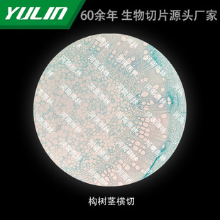 �����o�M�и�У�t�WԺУ�ýM������ʯϞ��Ƭ�˱��@΢�R