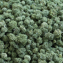 �����ɽ�خa���������߻� �����B������100��500g�a��ֱ�N ���]