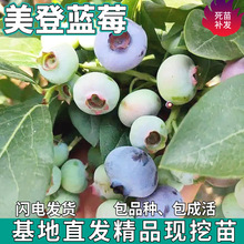 һl {ݮͥԺ̨ϱNֲ玧ԭ