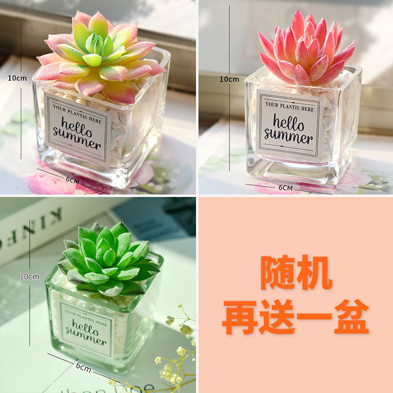 조합 3: 3개 구매 시 3개 무료, 총 4개 화분 제공