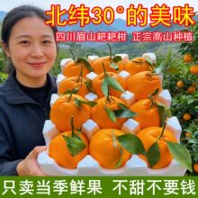 �����Ĵ���Ҋ�ҰҸ����θ�10���b�������rˮ�����ӬF��ժ�l؛����