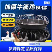 �uʳ���ϲ����iС�i��ʳ��ţ���i�����ϲ�ι�i��ɢ�B�u���Z����