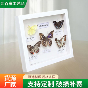 �����˱����߼����b��[���Y���ֹ����x���w��ɫ����[̨