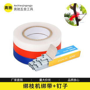 ����ᔽ�֦����֦�C����Ϲ����ѷ��ѽY������������@�������