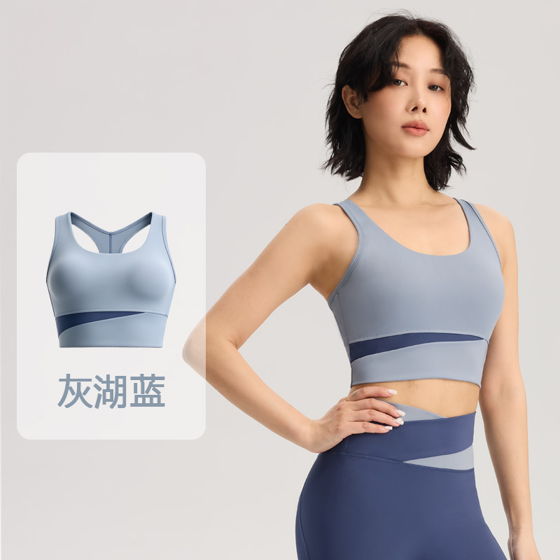 그레이 레이크 블루 브라