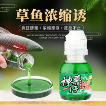 专攻草鱼钓鱼小药野钓大草鱼专用青鱼香精钓黑坑饵料添加剂诱鱼剂