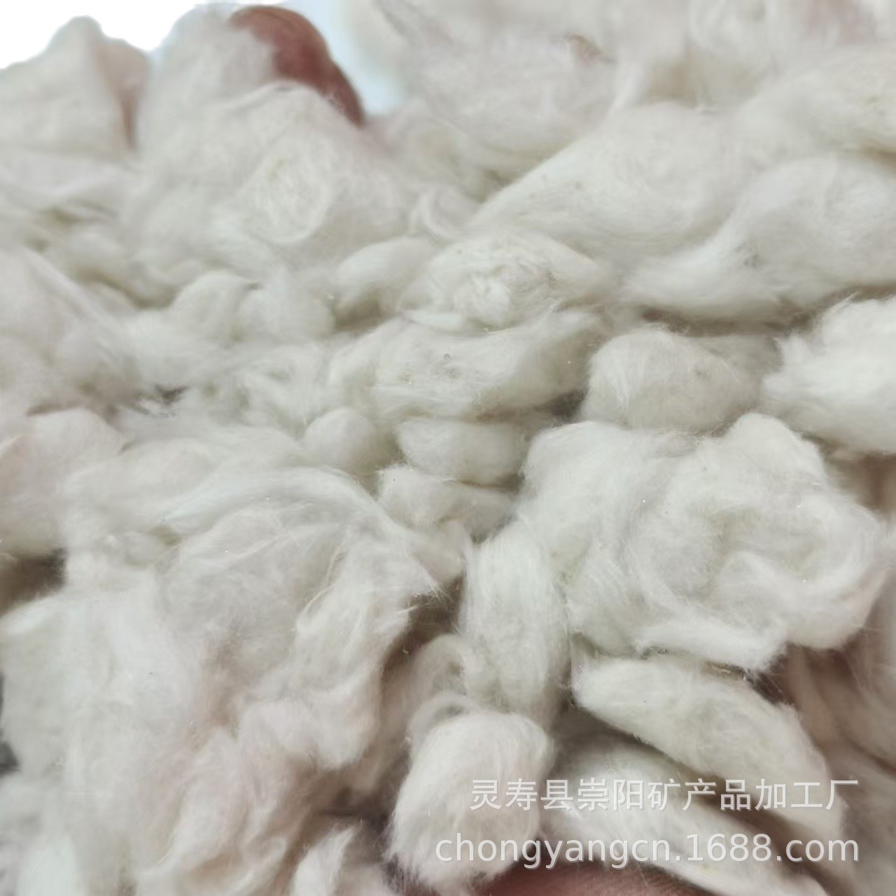 2024-11-13 08:59:29.jpg