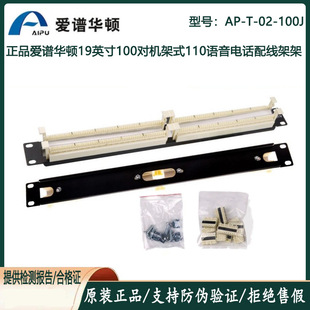 ���V�A�D50��/100���C��ʽ110������AP-T-02-100J�Z���Ԓ�侀��